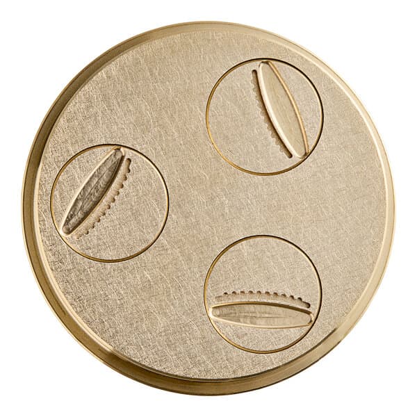A circular gold plate with three circular objects, a 19 mm (3/4") Gnocchi pasta die with circles and a few holes.