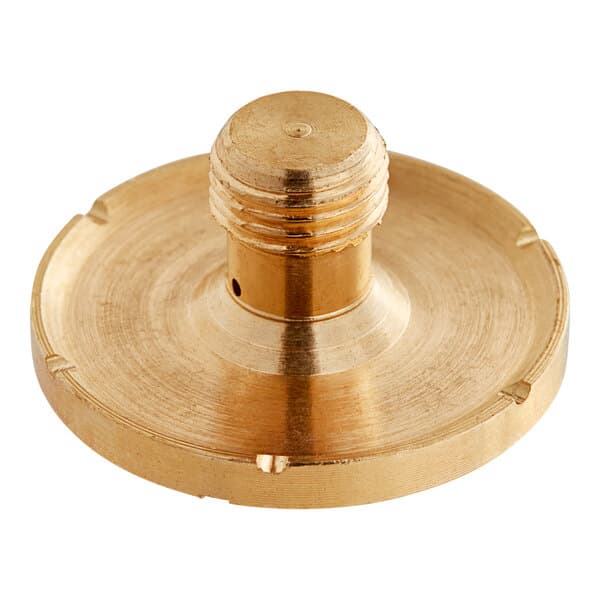 A close-up of a round brass spray head with a nut.